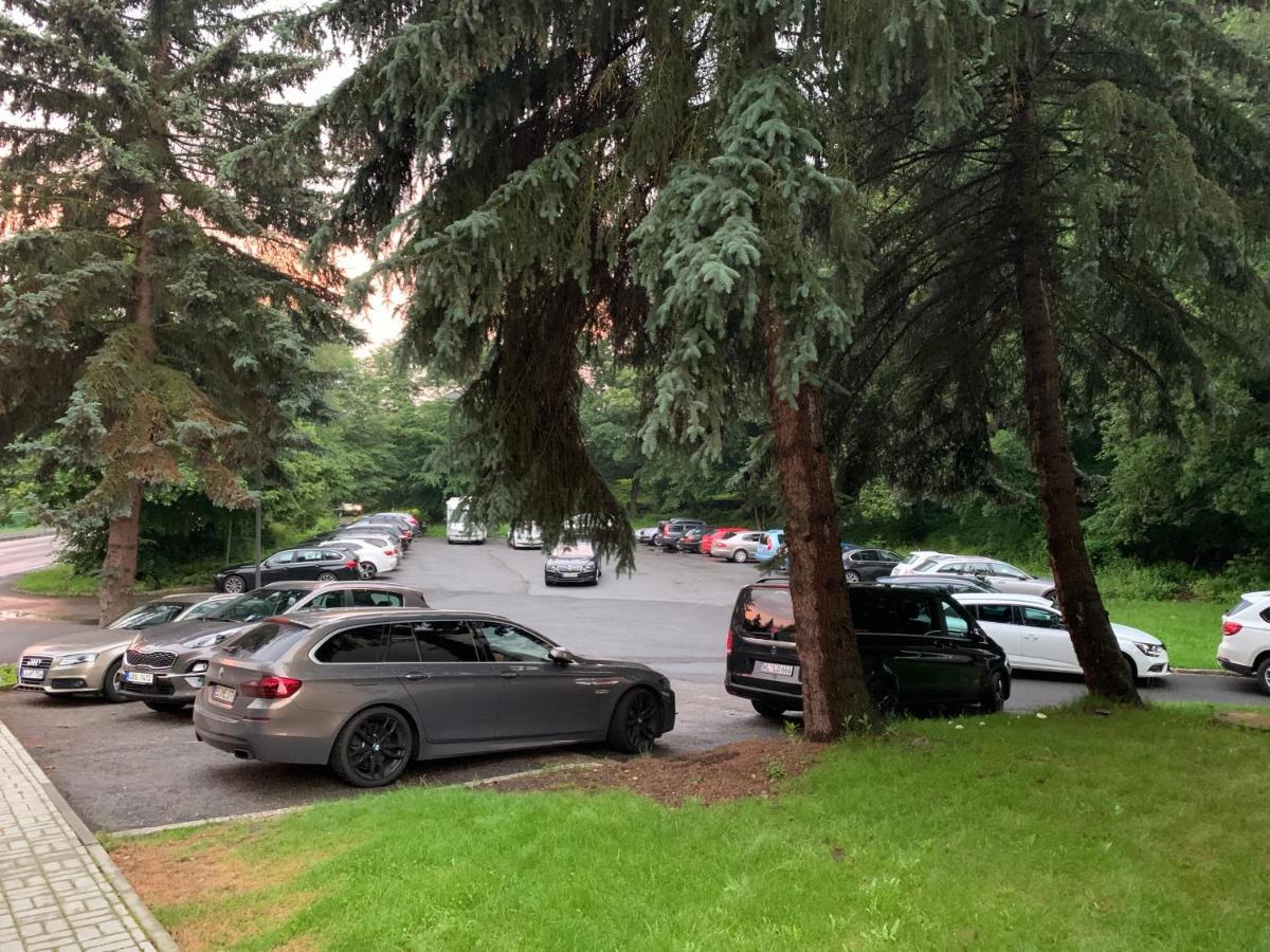 Parkhotel Carlsbad Inn Dalovice Bagian luar foto