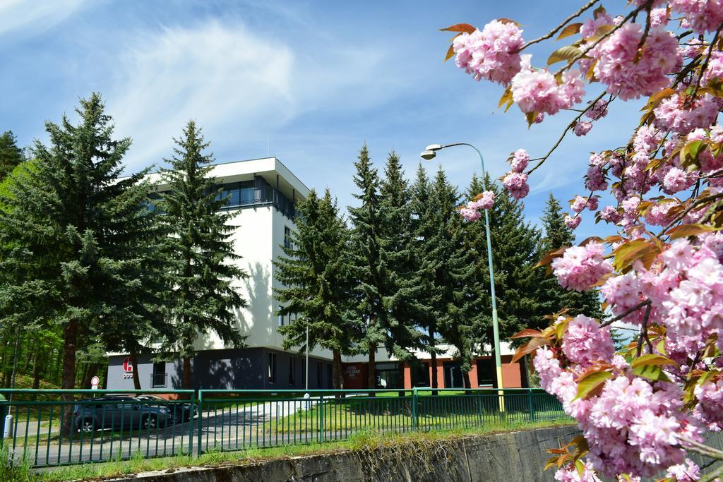 Parkhotel Carlsbad Inn Dalovice Bagian luar foto