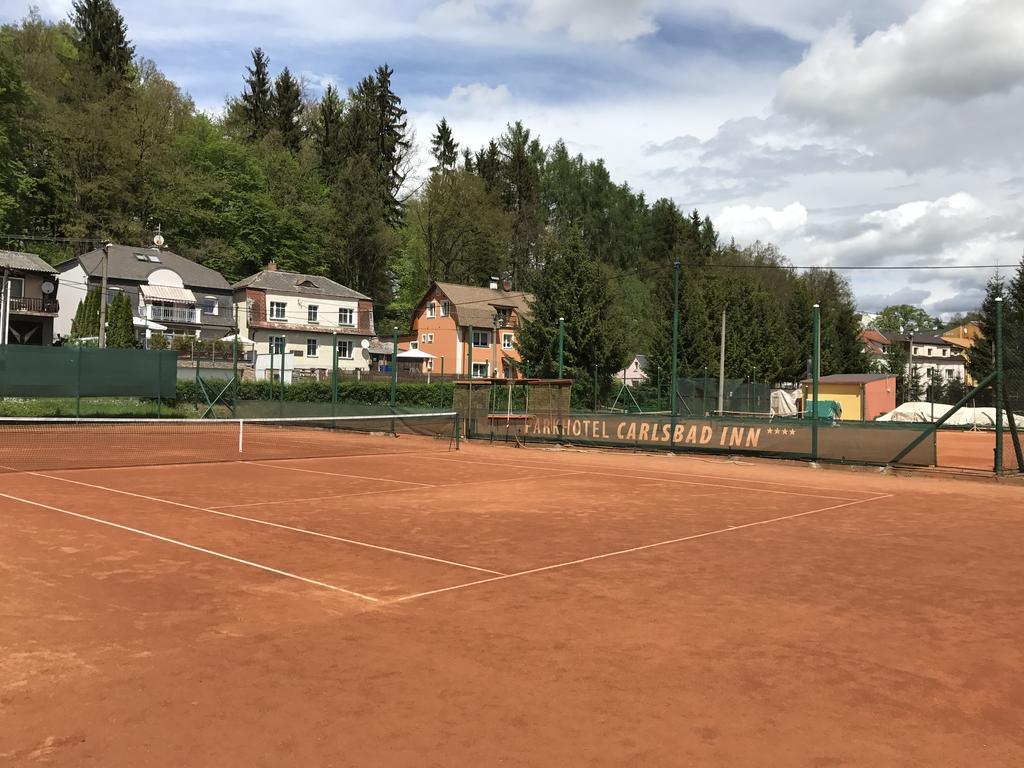 Parkhotel Carlsbad Inn Dalovice Bagian luar foto