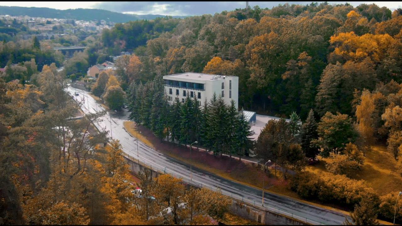Parkhotel Carlsbad Inn Dalovice Bagian luar foto